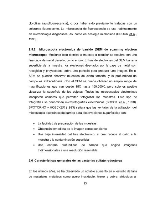Portada tesis Jorge RÃ­os Alveal.DOC - CyberTesis UACh ...