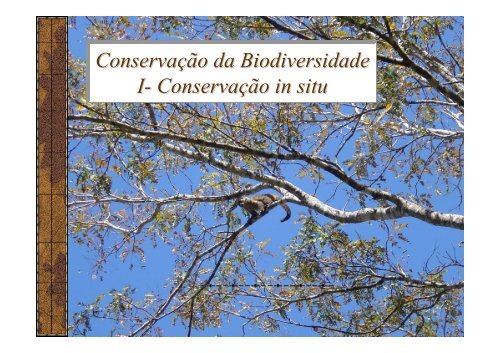 ConservaÃ§Ã£o da Biodiversidade I- ConservaÃ§Ã£o in situ