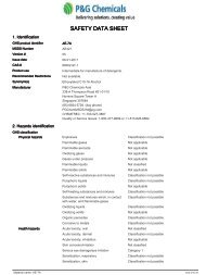 AE-7A SDS GHS UN Default - P&G Chemicals