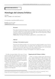 Histología del sistema linfático