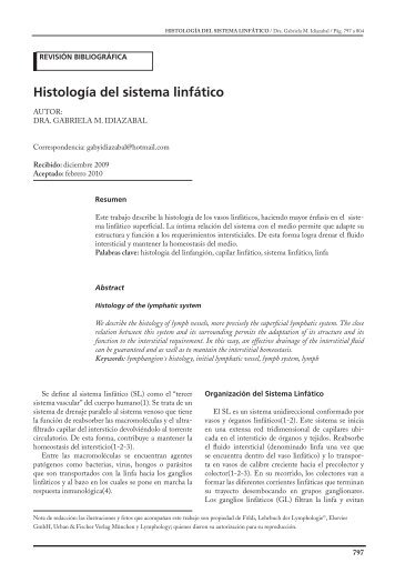 Histología del sistema linfático