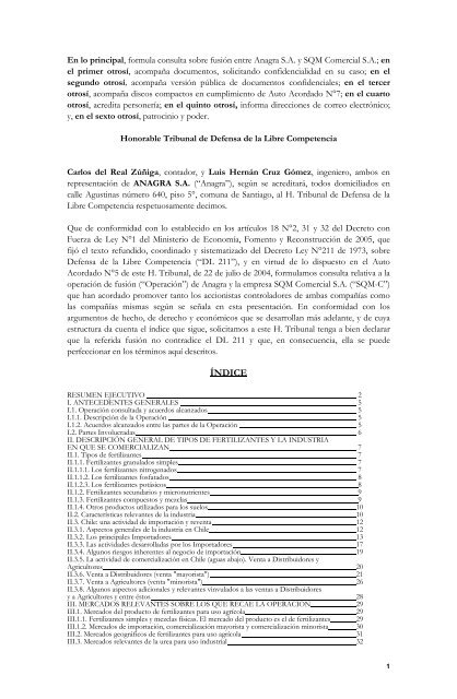 Consulta_ANAGRA_ NC_339_09.pdf - Concurso Publico TDLC