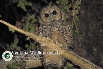 2010 Annual Report - Ventana Wildlife Society