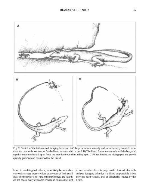 Monitor - International Varanid Interest Group