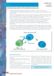 Antibody-Dependent Cell-mediated Cytotoxicity - Cerep