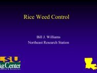 Rice Weed Control
