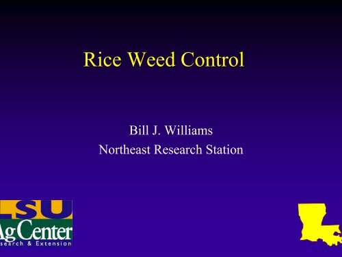 Rice Weed Control