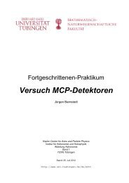 Versuch MCP-Detektoren