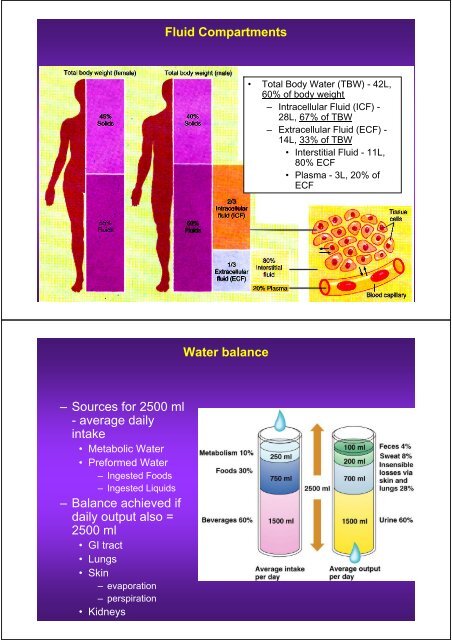 Tbw Weight Chart