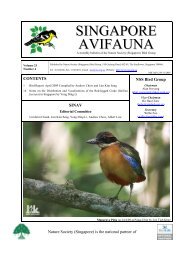 Singapore Avifauna Vol 23 No 4 - (Singapore) Bird Group - Nature ...