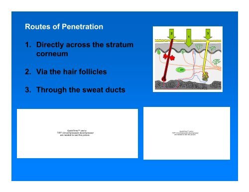 Current and Future Skin Permeation Technologies for Drug Delivery