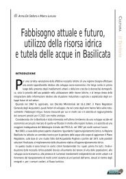 Fabbisogno attuale e futuro utilizzo della risorsa idrica in Basilicata
