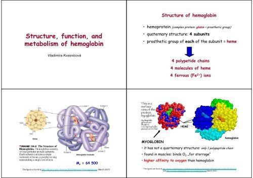 Structure, function, and metabolism of hemoglobin