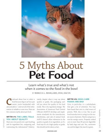 5 Myths About Pet Food - Dachshund Rescue of Houston