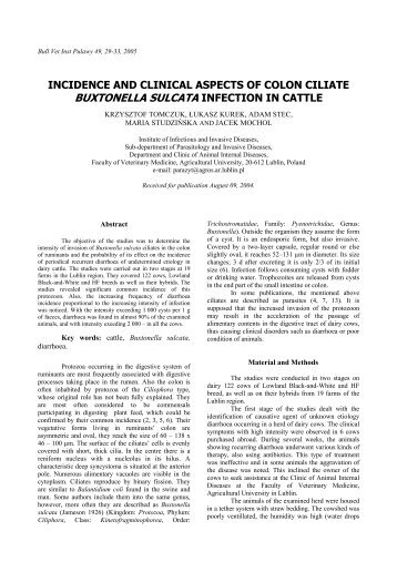 BUXTONELLA SULCATA INFECTION IN CATTLE