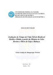 Avaliação do Tempo de Vida Útil de Biodiesel Metílico Obtido a ...