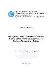 Avaliação do Tempo de Vida Útil de Biodiesel Metílico Obtido a ...