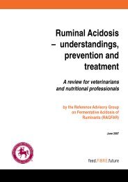 Ruminal Acidosis â understandings, prevention and treatment