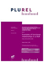 Examples of functional relationships in a RUR - Plurel