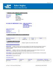 Hy Temp O - USA- Revised 02/24/ - Baker Hughes