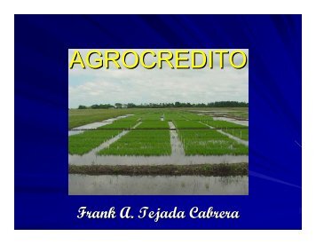 AGROCREDITO - CEDAF