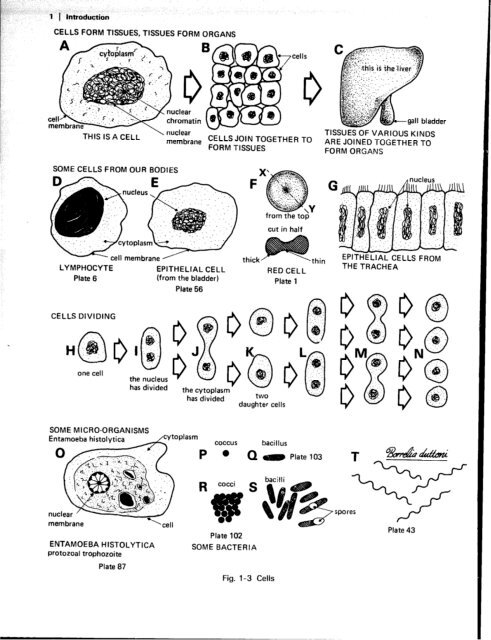 MICROFICHE REFERENCE LIBRARY