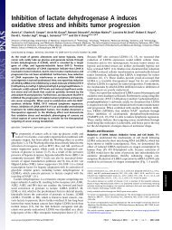 Inhibition of lactate dehydrogenase A induces oxidative stress and ...