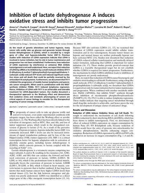 Inhibition of lactate dehydrogenase A induces oxidative stress and ...