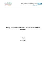 Policy & Guidance for Risk Assessment & Risk Registers - the Royal ...