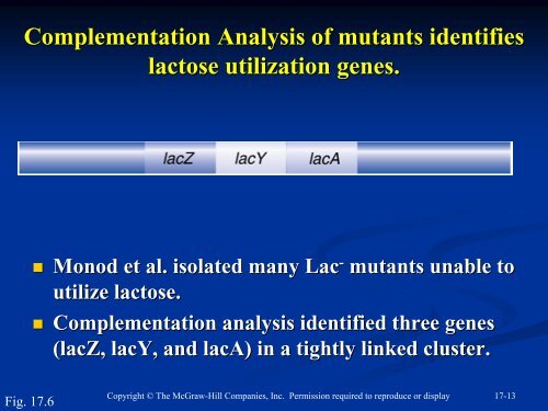 Genetics: From Genes to Genomes