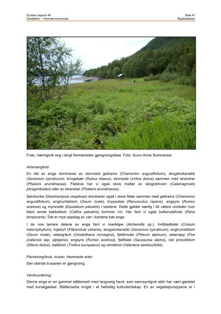 Oksfjellelv i Hemnes kommune, Nordland fylke ... - EcoFact
