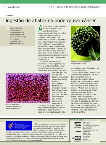curiosidade sobre aflatoxinas