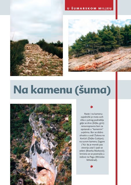 šuma - Hrvatske šume