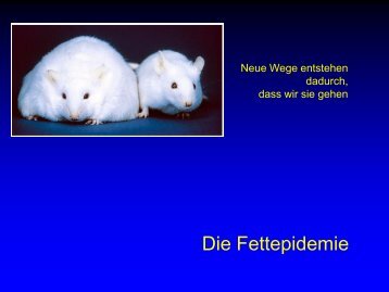 Wir essen immer noch zu fett und - Ever - Dr. med. Jürg Eichhorn