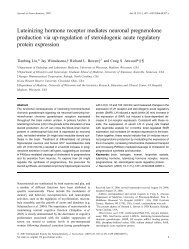 Luteinizing hormone receptor mediates neuronal pregnenolone ...