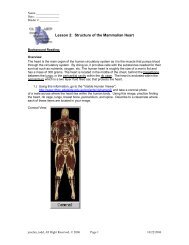 PDF Lesson 2: Structure of the Mammalian Heart - Cary Academy