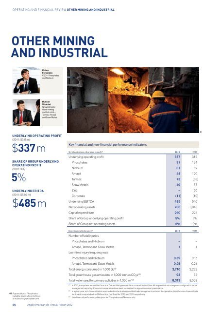 Anglo American Annual Report 2012