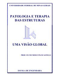 patologia e terapia das estruturas uma visÃ£o global - DEMC - UFMG