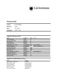 Protokoll - Lier kommune