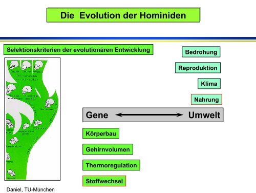 Medienkonsum und Adipositas - Universität Paderborn