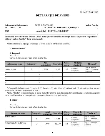 Nita_Nicolae - Curtea de Conturi
