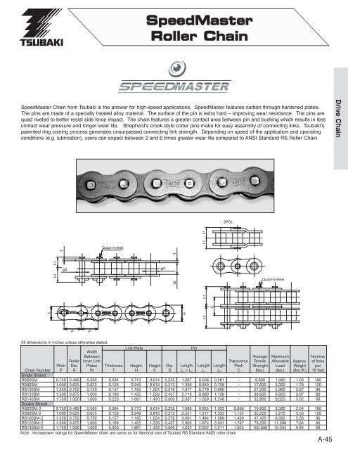 Roller Chain - Tsubaki