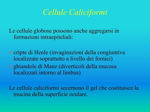 UnitÃ  Funzionale Lacrimale - ABCsalute.it