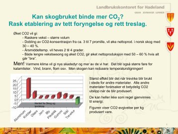 Kan skogen binde mer CO2? - Gran kommune