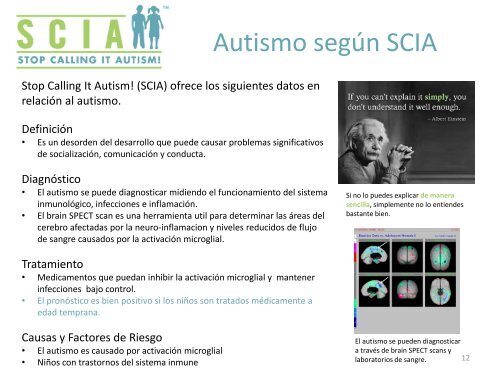 La Activación Microglial En El Autismo - Curando el Autismo