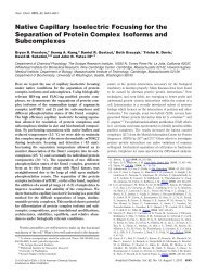 Native Capillary Isoelectric Focusing for the Separation of Protein ...