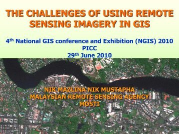 the challenges of using remote sensing imagery in gis - Malaysia ...