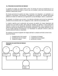 El Proceso de GestiÃ³n de Riesgo - Servicio Nacional de Aduanas