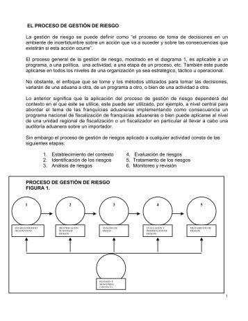 El Proceso de GestiÃ³n de Riesgo - Servicio Nacional de Aduanas