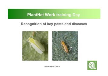 Identification of key pests & diseases